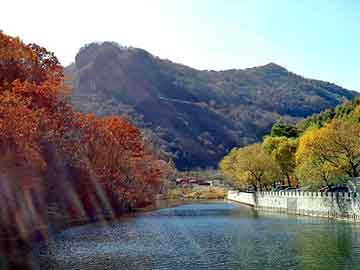 新澳天天开奖资料大全旅游团，白衣女孩